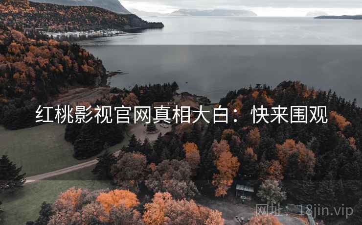 红桃影视官网真相大白：快来围观