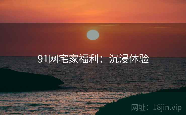91网宅家福利：沉浸体验